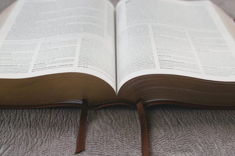 the opened book on the floor has lines on it