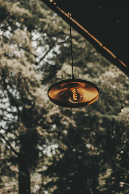 an overhead lamp attached to a tree