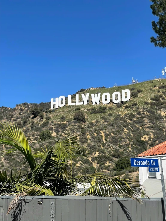 a hollywood sign with palm trees in the background