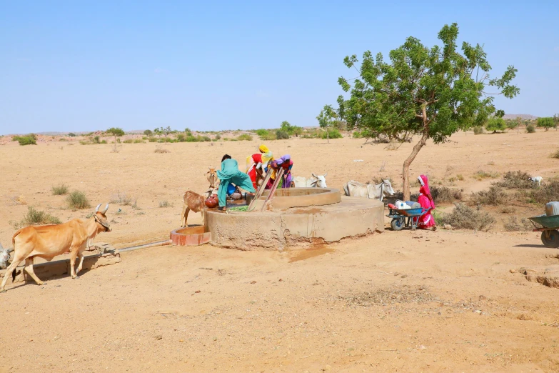 the people are sitting on a well, the cow is pulling the woman