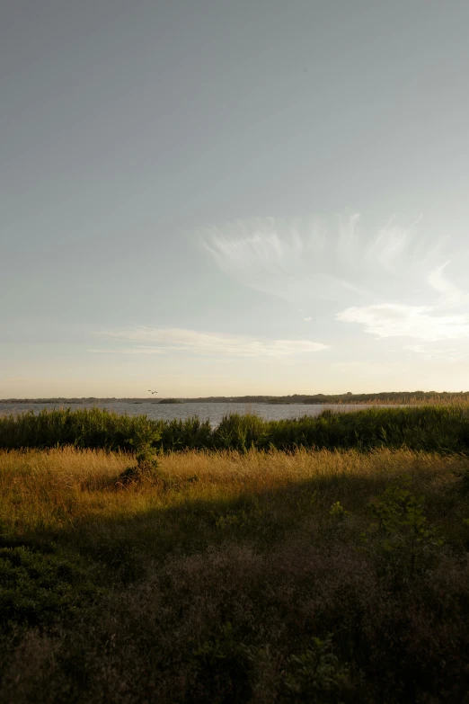 the view of water and grass from an empty bench