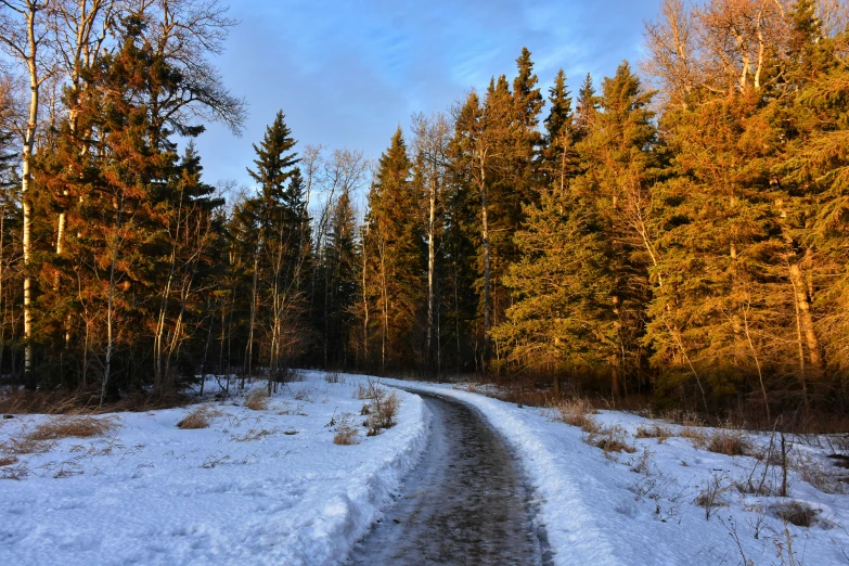 there is a path that has fallen through the snow