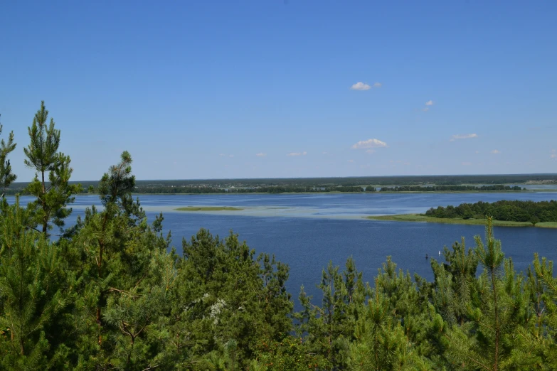 a water way surrounded by trees on the shore