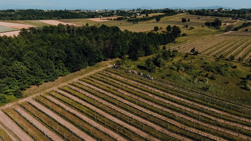 an aerial view of people working on a farm