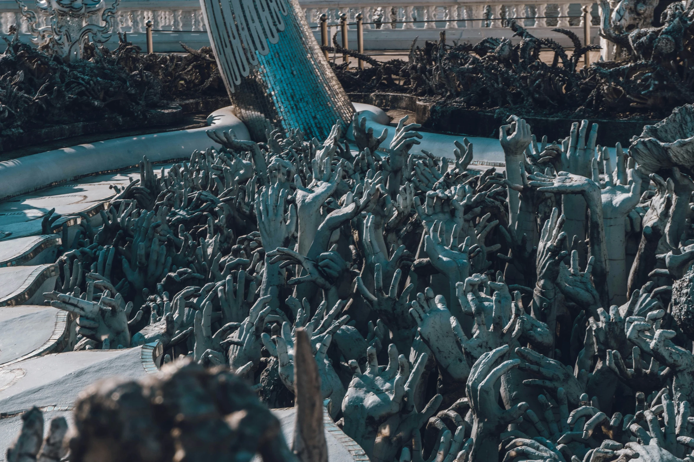 a very large amount of cactus plants outside