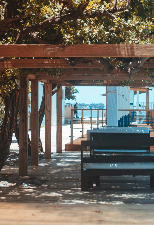 a bench under a tree near the water