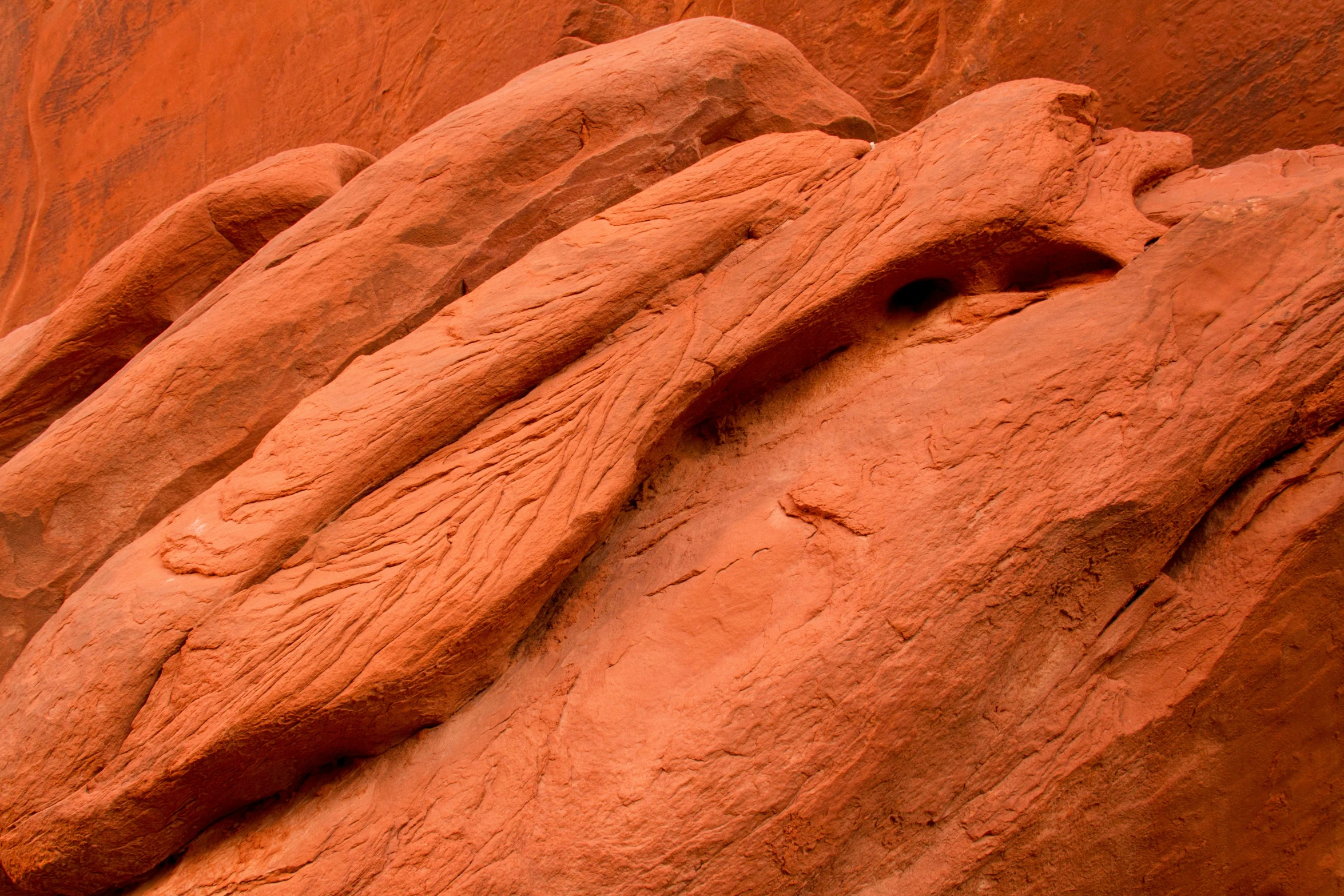 an image of a close up view of rock formations