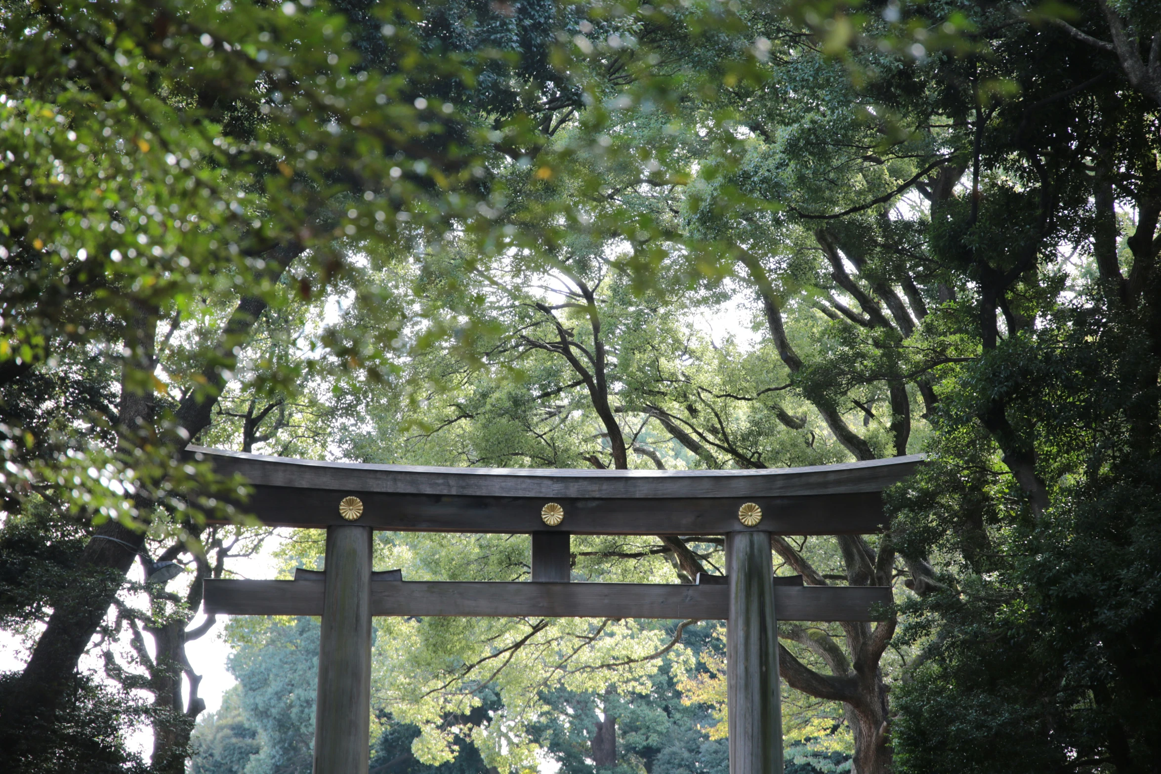 the entrance to the garden at a park