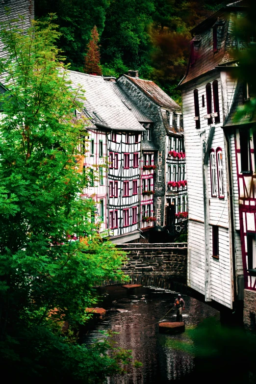 this is an image of some buildings in the forest