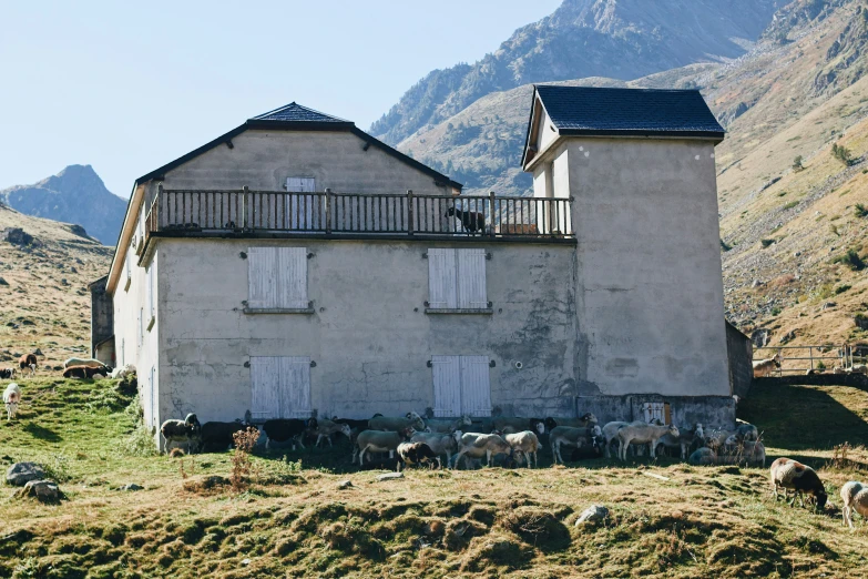 goats grazing outside a two story building in the mountains