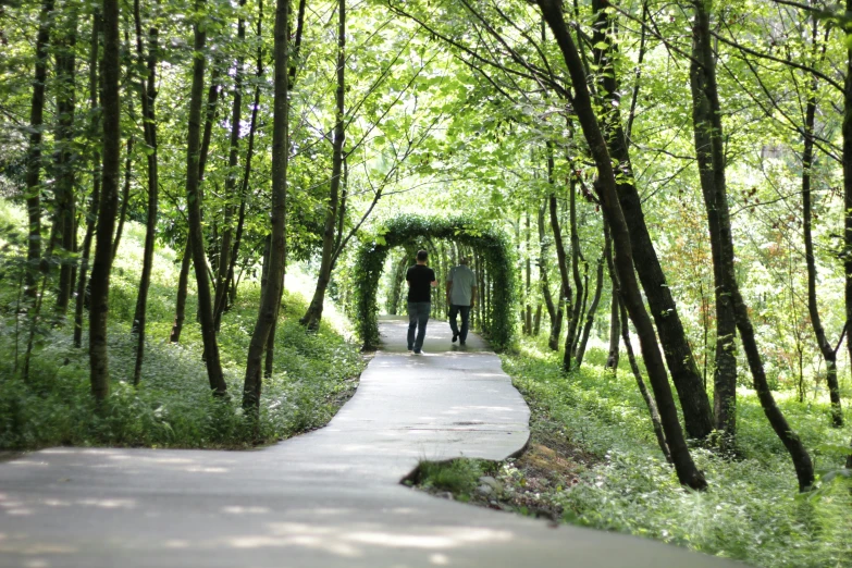 two people walk in a park with many trees on the sides