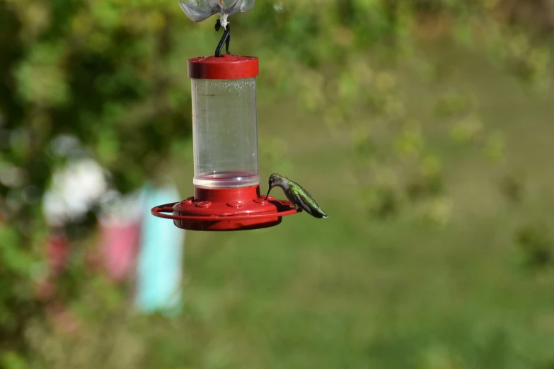 a hummingbird in mid flight with a seed feeder attached to it