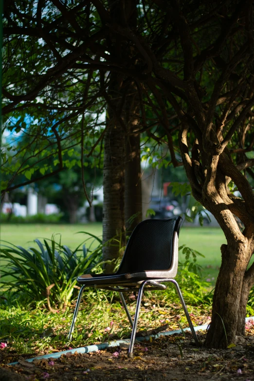 a black chair sitting in front of a tree