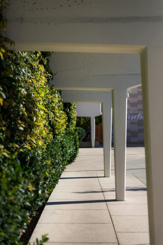 the outside of a building has green leaves on the pillars