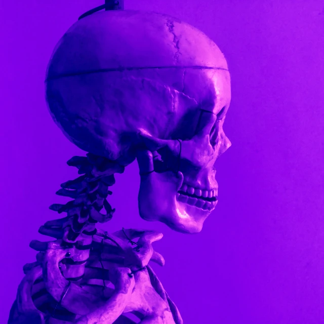 a skeleton is wearing a mask with bones