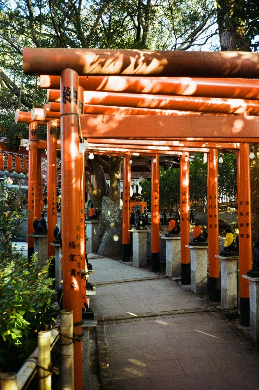 this is a wooden outdoor structure with plants and flowers