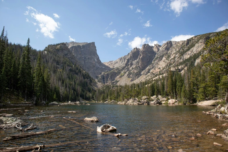 a rocky river running through some grass and trees