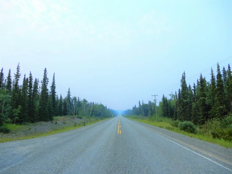 a deserted road that leads to a forest