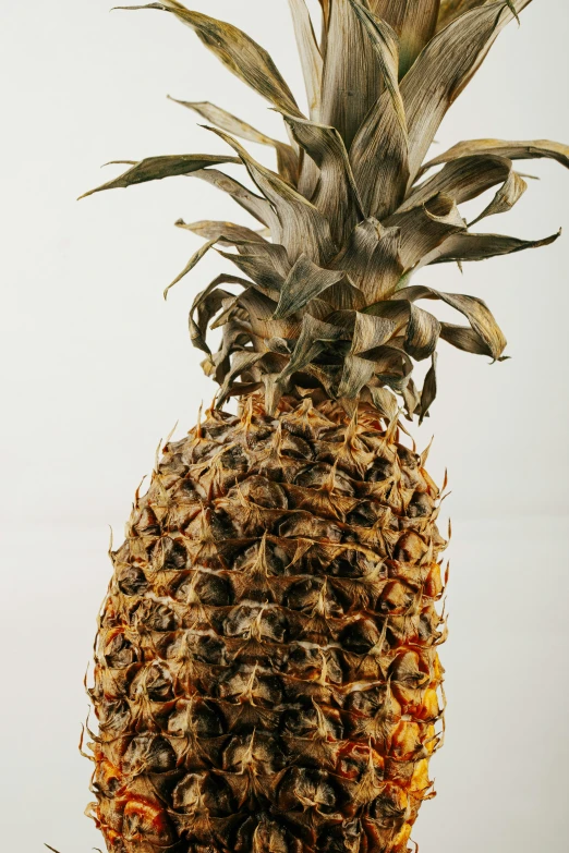 a large pineapple sitting on top of a table