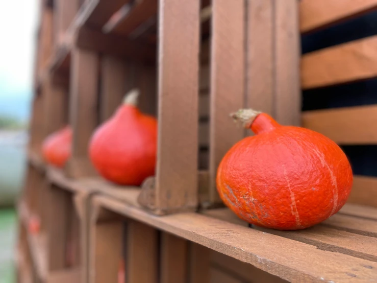 pumpkins are sitting on a bench and some of the pieces are rusted