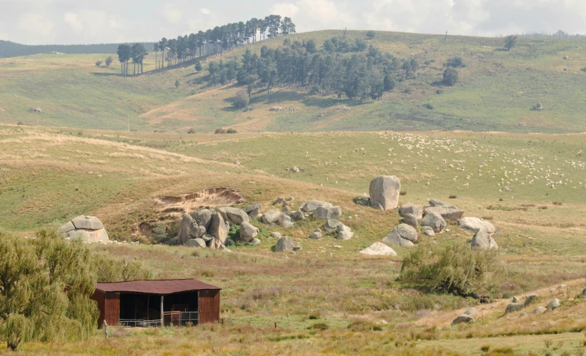 a field that has rocks and trees in it