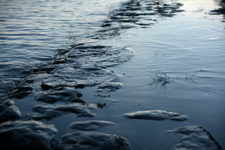 there are many rocks along the water edge