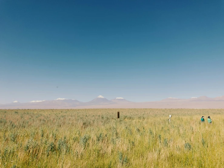 a couple of people in a large open field