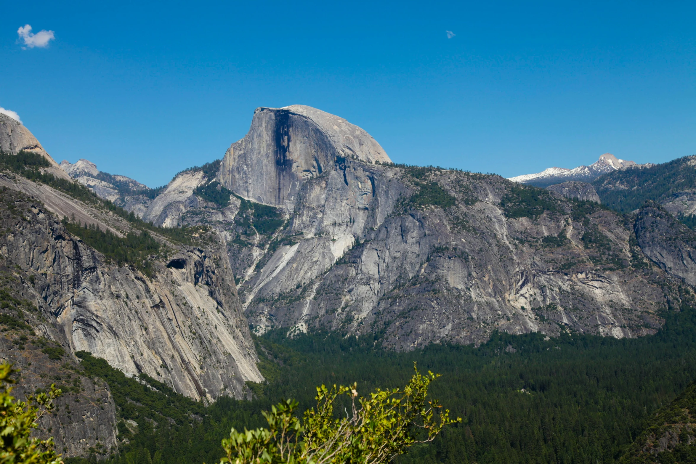 a mountain scene from the base of a massive mountain