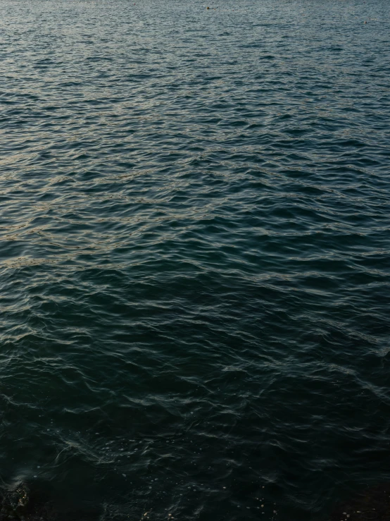 a large body of water with a boat near the shore