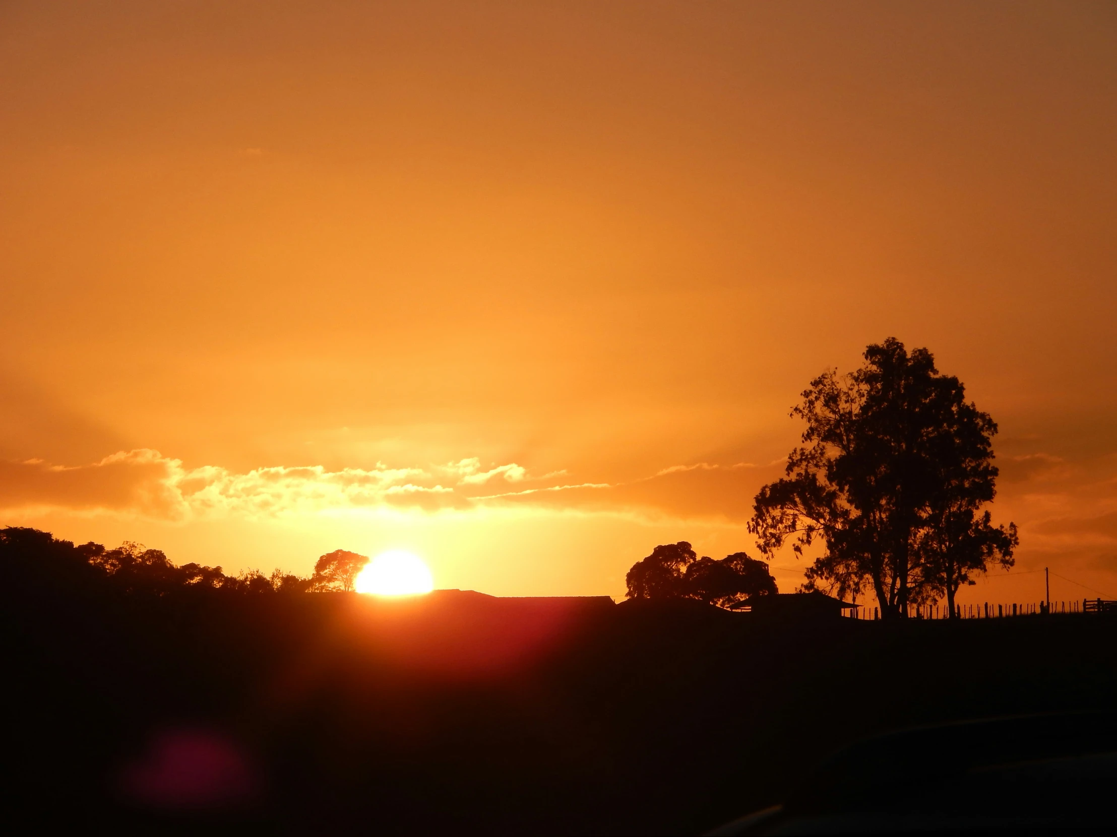 the sun sets behind the trees as it reflects in a dle