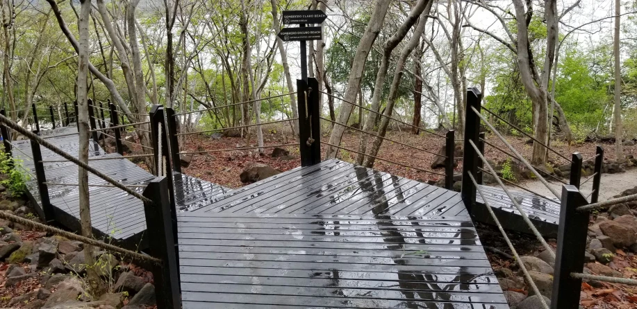 the metal steps are next to some trees