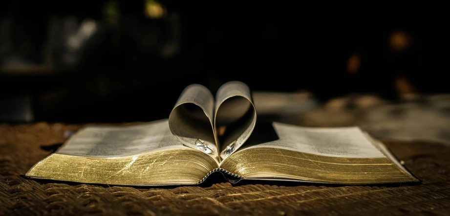 two folded open pages of a book