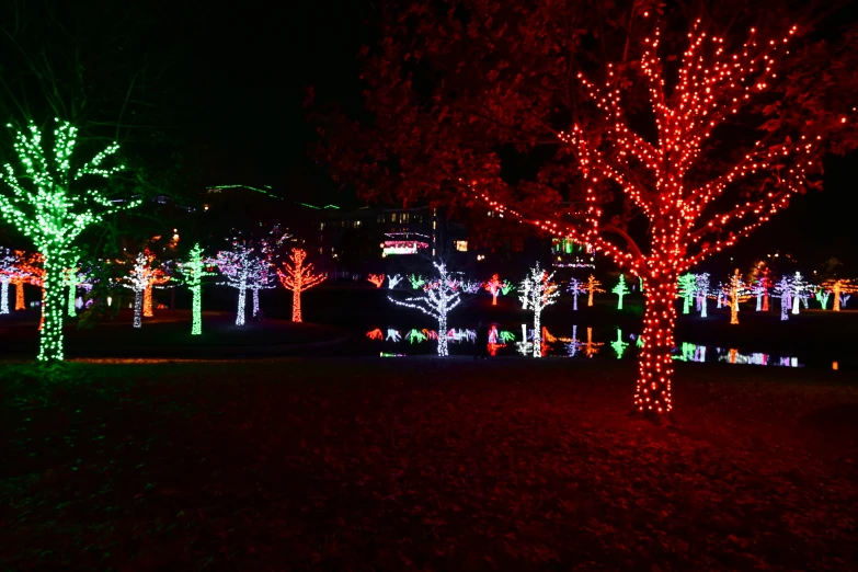 christmas lights shine brightly on trees and lawns