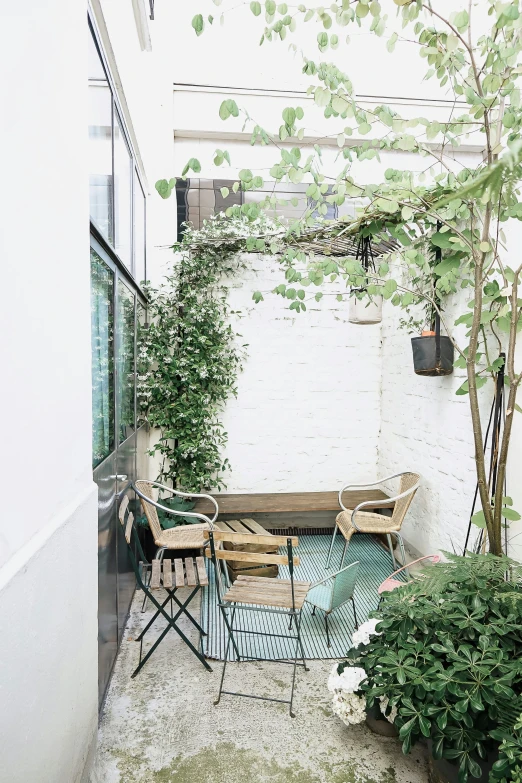 an empty patio has plants and chairs near it