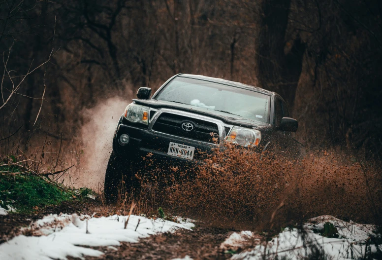 the truck is driving through the brush and trees