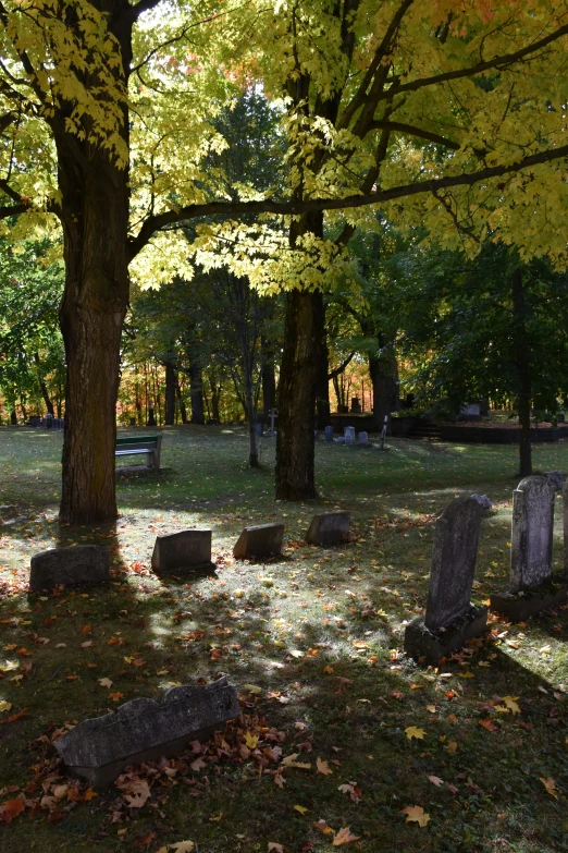 the park with many stone headstones sits beneath many trees