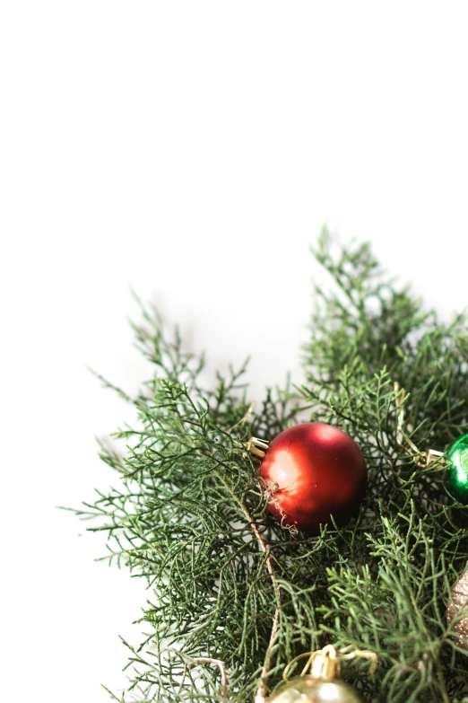 a red ornament is sitting on top of a tree