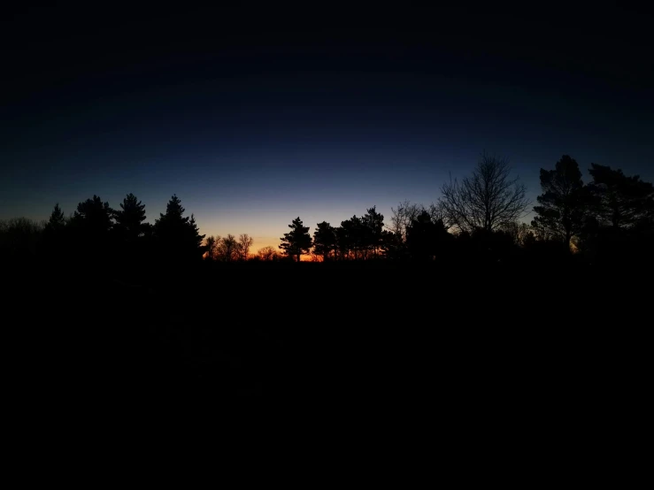 a dark view of the sun rising through the trees