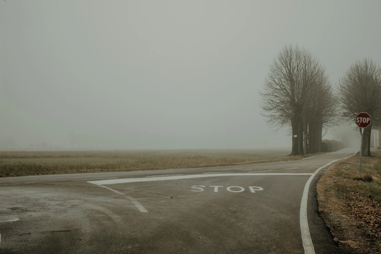 foggy day with road winding up into the distance