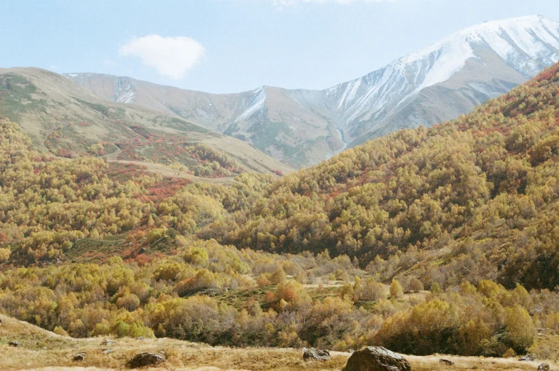 a beautiful valley with an old dirt trail running alongside it