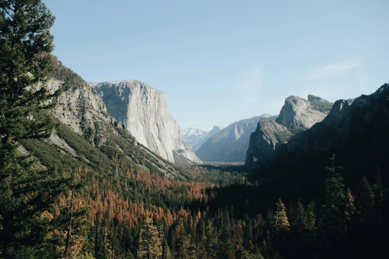 the mountains are dotted with colorful pine trees