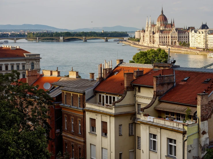 a bird flying over an old city by a river