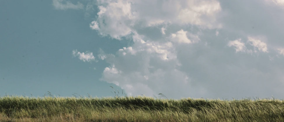 a person is flying a kite on the top of a hill