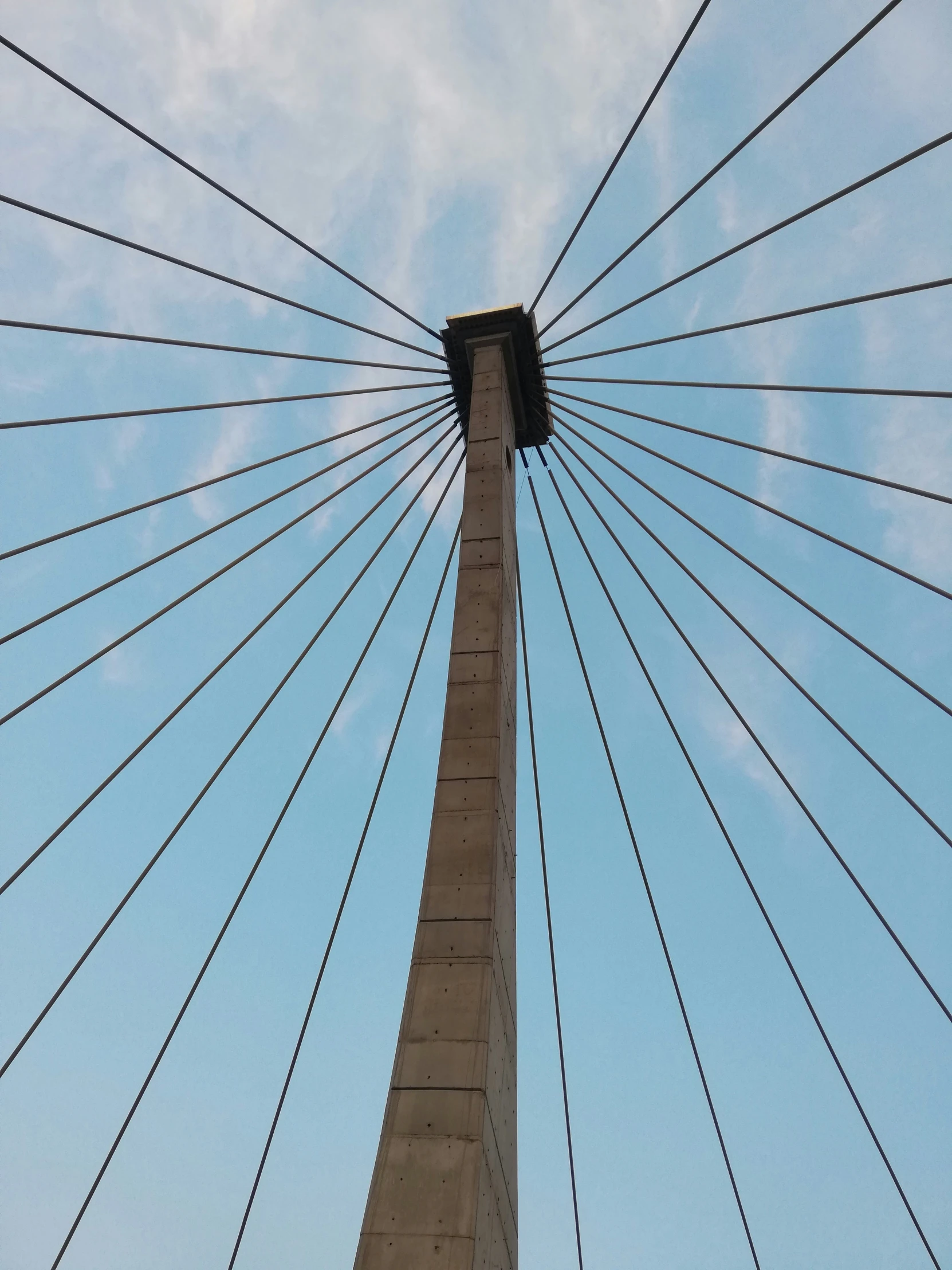 a white bus traveling over a tall bridge