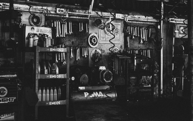 a group of different kinds of scissors hanging on a wall