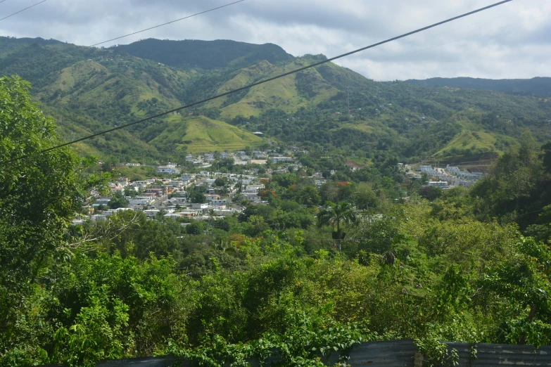 a hill with a city on it next to forest