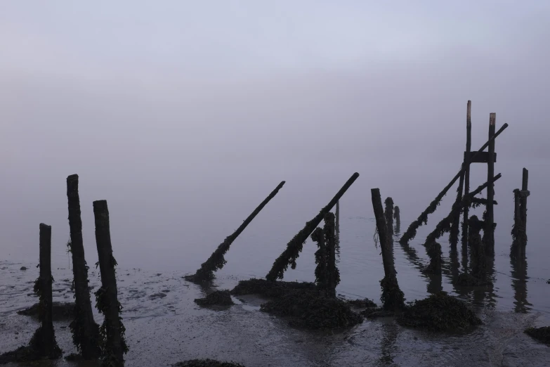 a body of water with poles sticking out of it