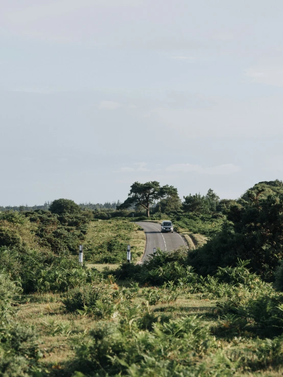 an image of a small truck on the side of the road