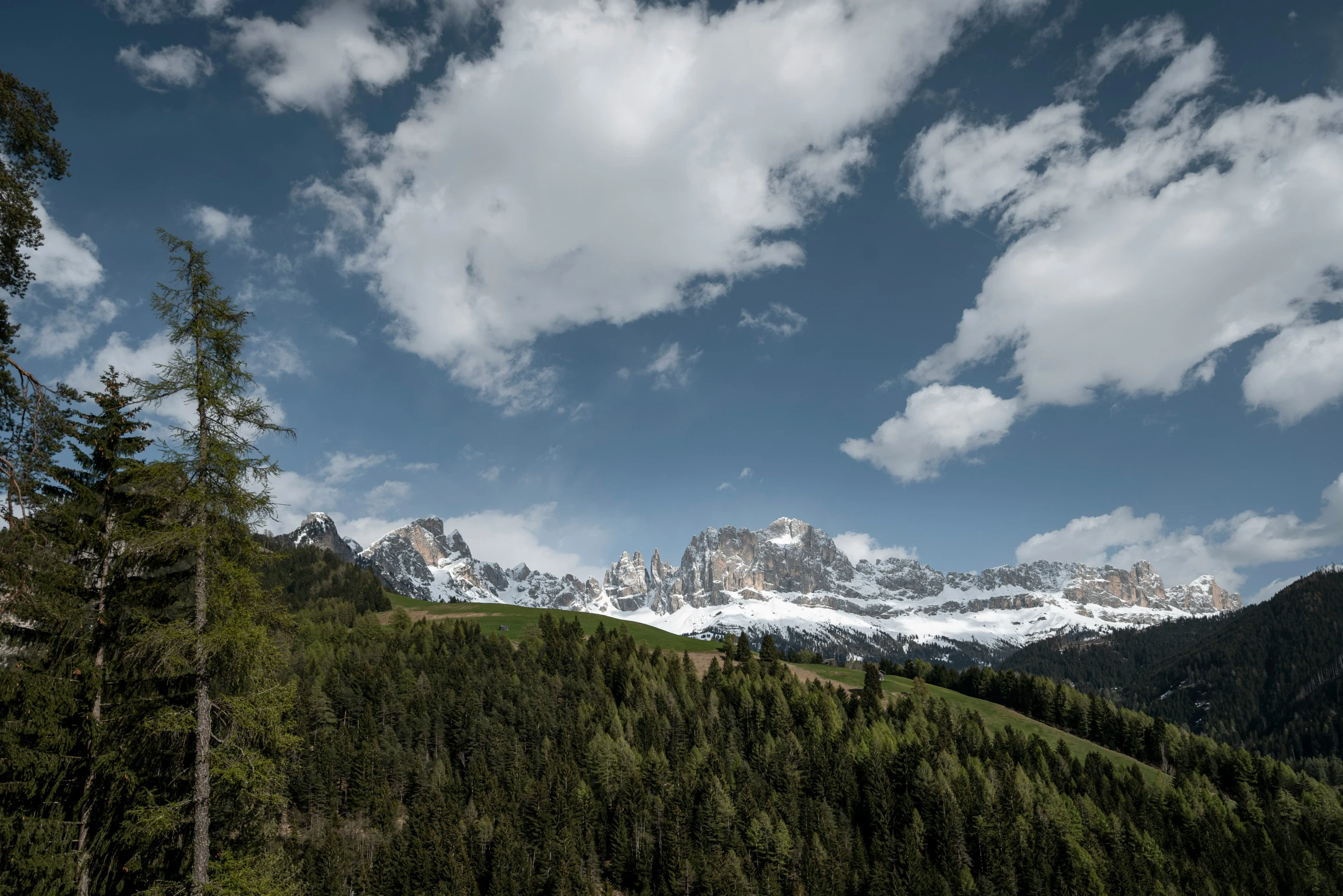 a grassy hill with snow on the top