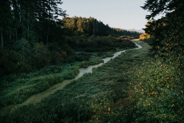 a narrow stream cuts through the grass on a road